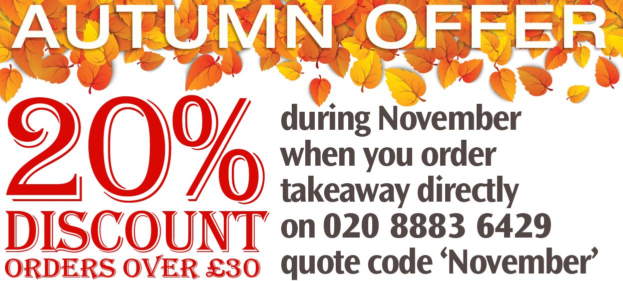 Autumn Promo